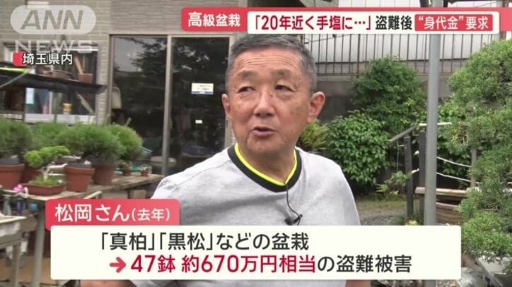 20年近く手塩にかけて育てたものが盗まれた
