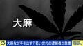 大麻に手を出し逮捕される若い世代が急増…SNSで隠語による取引も 16歳から大麻常用の当事者に聞く