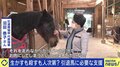 「走れなくなっただけでお肉にしてしまうのはもったいない」馬刺し・家畜の餌になるケースも…競走馬、年間1万頭の“余生”を考える
