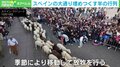大通りに羊の大群が!2年ぶりの“伝統的なイベント”に多くの人が集結 スペイン