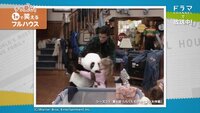 【特別公開】チラ見せ!フルハウス - シーズン1 - チラ見せ!1分で笑えるフルハウス「パンダよりも...」 | 動画視聴は【Abemaビデオ(AbemaTV)】
