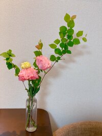 矢口真里『２２周年☆』