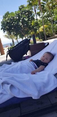 小原正子『いたい☆』