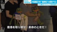 香港デモ隊“カエル人形”を持つ意味