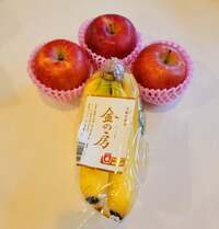 モト冬樹『身体にいいと信じて』