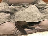 坂上忍『太陽なう』