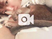 桃『急に痩せた…!!!』