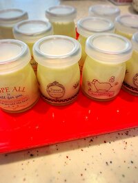 小川菜摘『プリン』