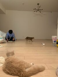 桃『初キスの場所』