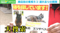 【映像】看板猫「エリザベス」が連れ去りの瞬間