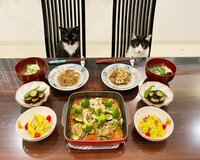 藤あや子『今日の晩ごはん』