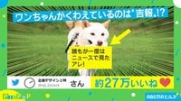 オンリー“わん”な面白おもちゃ!