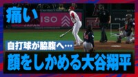 【映像】ネトのホームランボールをキャッチし「歓喜の舞」を見せる現地ファン