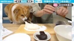 こっそり“つまみ食い”しているつもり…？料理中、犬が見せた大胆すぎる行動 「ちょっとずつならバレないと思ってるｗ」の声