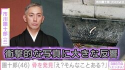 市川團十郎、屋上で骨を発見「そんなことある？」ファンが考察