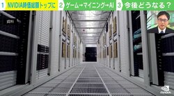 エヌビディア時価総額526兆円は過大評価？ 専門家に聞く「AI時代における真の価値」