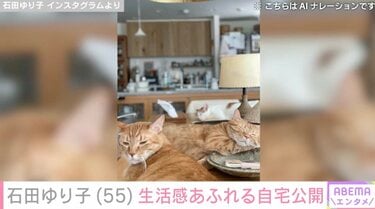 写真・画像】石田ゆり子（55）、生活感あふれる自宅に反響「1番幸せな