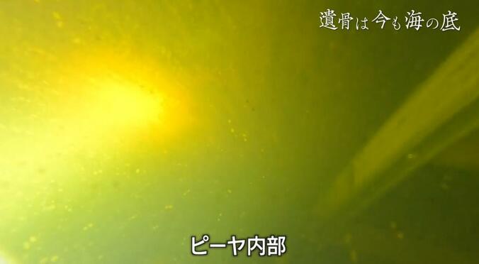 ダイバーが潜るピーヤ内部の様子