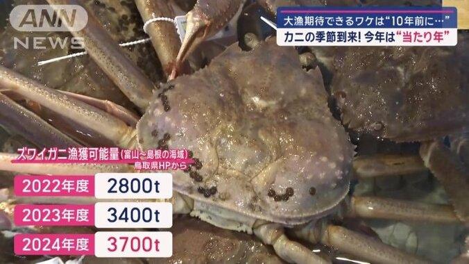 今シーズンは、当たり年