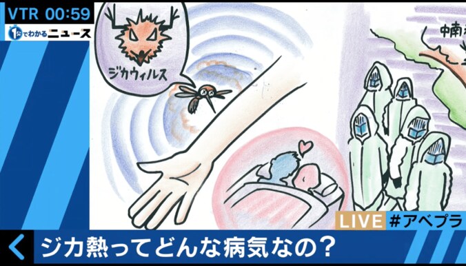 恐怖のジカ熱は虫除けアイテムで対策　医師はシンプルに「蚊に刺されないことに尽きる」 1枚目