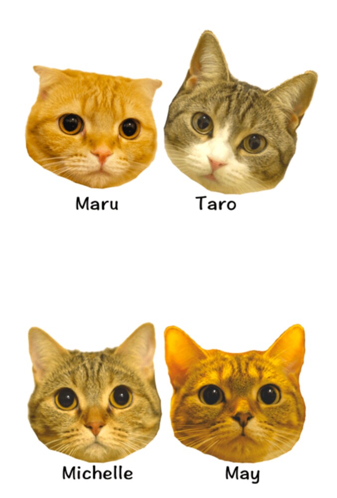 YouTubeで大人気　10匹の猫家族「10Cats. 」が可愛すぎるとネット上で話題に 3枚目