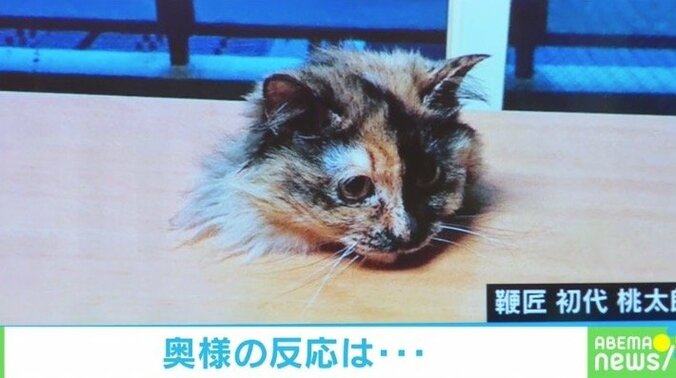 今年もありがとニャ！ 2021年に話題を集めた猫のおもしろ投稿5選 2枚目