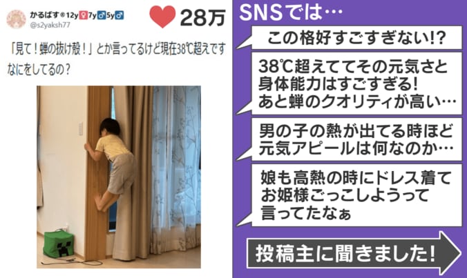 SNSでの反響