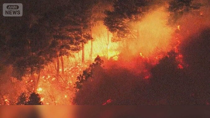 岩手で大規模山林火災　2000人避難指示　住宅街迫る必死の消火活動 1枚目