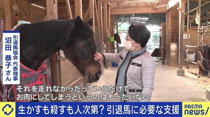 「走れなくなっただけでお肉にしてしまうのはもったいない」馬刺し・家畜の餌になるケースも…競走馬、年間1万頭の“余生”を考える 1枚目