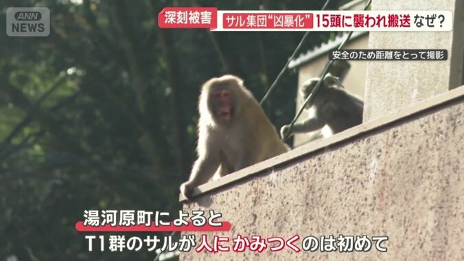 男性は、救急車で病院に搬送された
