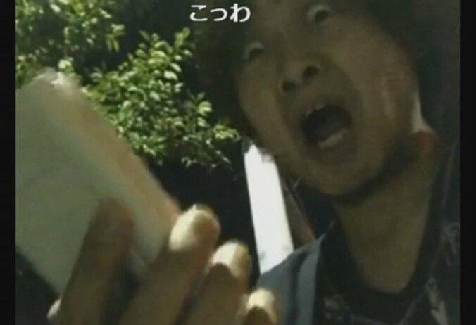 『ポケモンGO』ゲーム実況のはずがカメラに奇妙なモノが映りリアルホラー実況に…… 9枚目