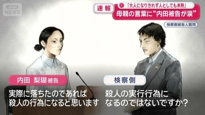「実際に落ちたのであれば殺人の行為になると」
