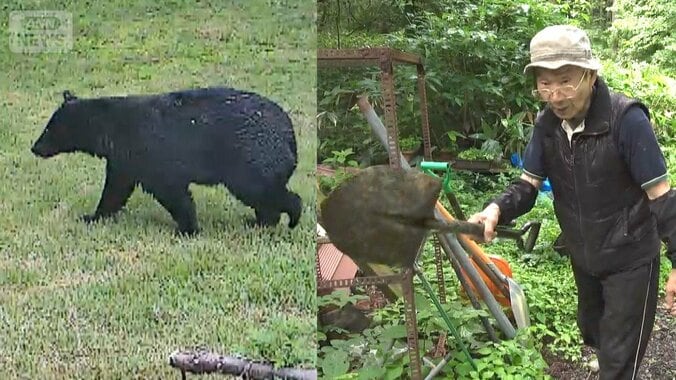 クマに遭遇　88歳男性シャベルで“応戦”　人恐れず広がる行動範囲 1枚目