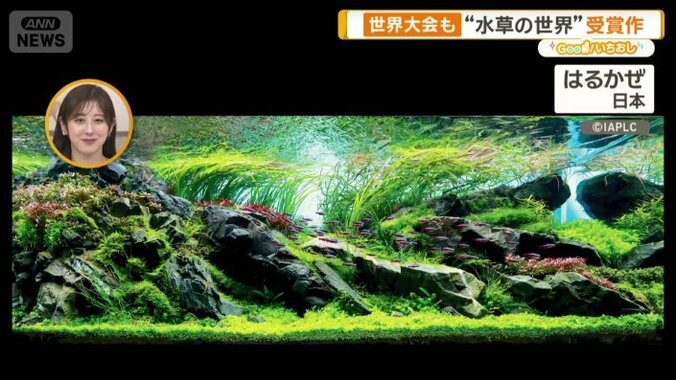日本人アーティストの作品「はるかぜ」
