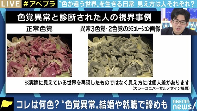 ｢色覚異常｣を抱える人たちの悩み…「見え方の幅と思っていただければ」旧来のままの簡易検査の復活に疑問も 3枚目