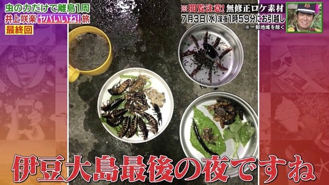 虫150匹を15分で完食、衝撃の“虫ディナー”を無修正で公開　井上咲楽「これはデザート」 5枚目