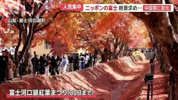 「もみじ回廊」