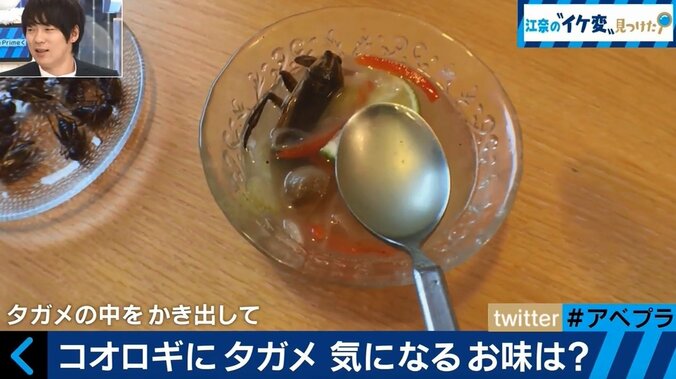 「アブラゼミはナッツの味、蜂の幼虫はしゃぶしゃぶに」 知る人ぞ知る“昆虫食”の世界 1枚目