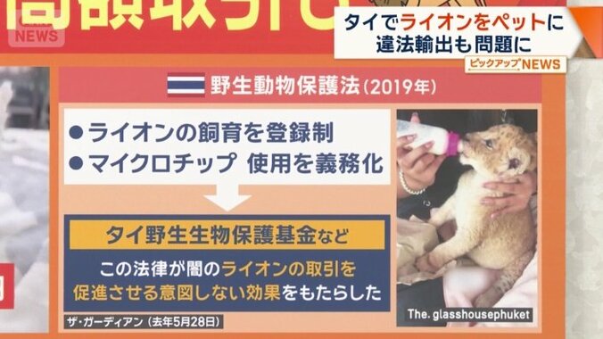 「野生動物保護法」を施行したが…