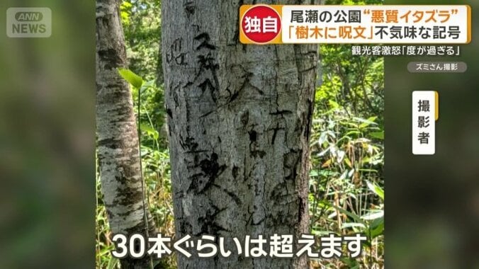 呪文のようなものが至る所に