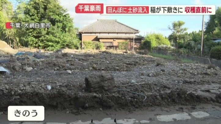 6日前までは田んぼだった場所