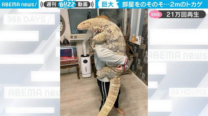 腕の中に体長２ｍの巨大トカゲ 衝撃の“抱っこ”姿に「まるで恐竜」「最高にラブリー」驚きの声 