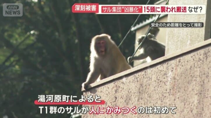 男性は、救急車で病院に搬送された