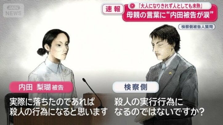「実際に落ちたのであれば殺人の行為になると」