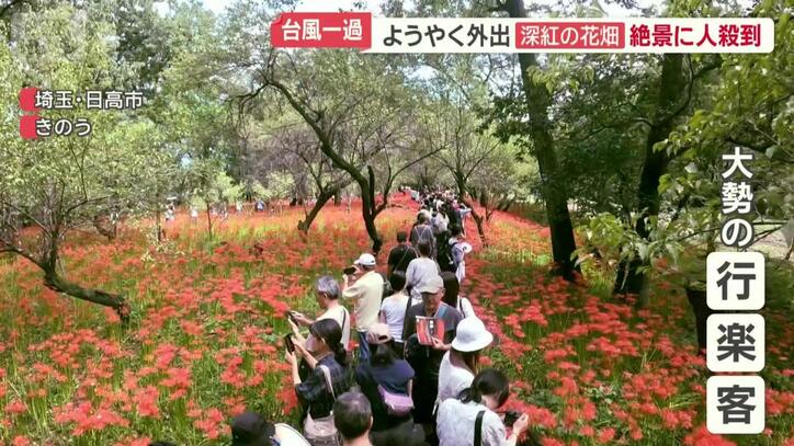 大勢の行楽客でにぎわった園内