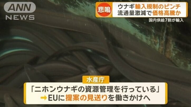 水産庁は