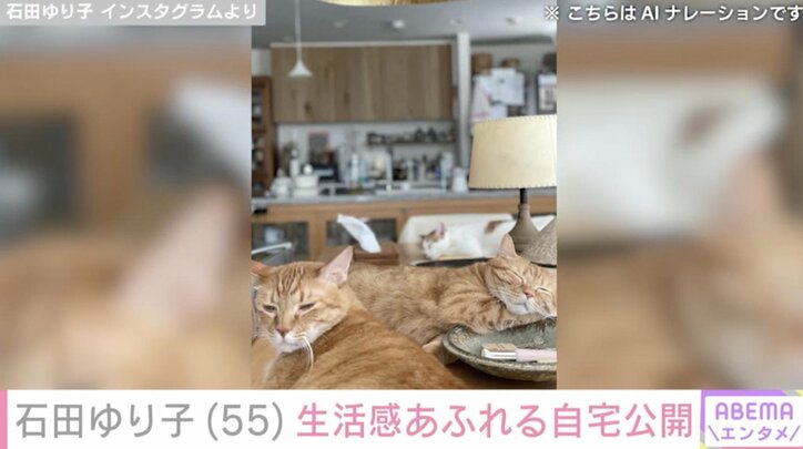 【写真・画像】石田ゆり子(55)生活感あふれる自宅に反響「1番幸せな絵面」「お部屋でのんびりが最高」 2枚目