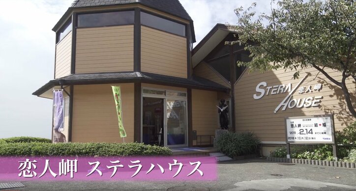 「お待ちしておりましたニャ」旅人を癒す伊豆のモフモフ猫たち