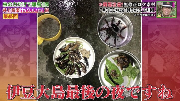 虫150匹を15分で完食、衝撃の“虫ディナー”を無修正で公開　井上咲楽「これはデザート」