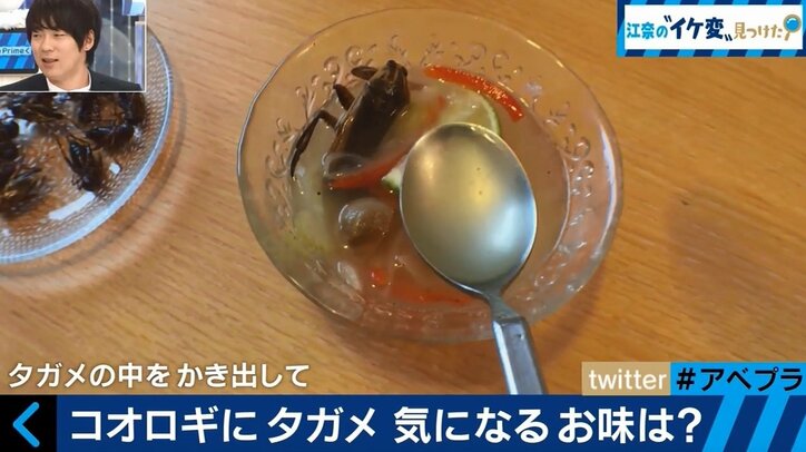「アブラゼミはナッツの味、蜂の幼虫はしゃぶしゃぶに」 知る人ぞ知る“昆虫食”の世界
